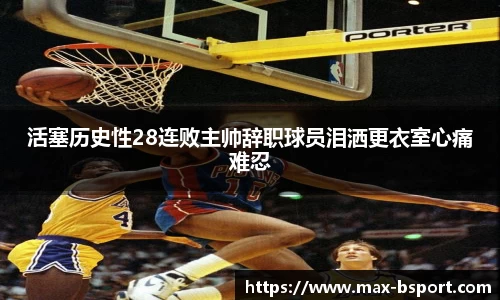 b体育